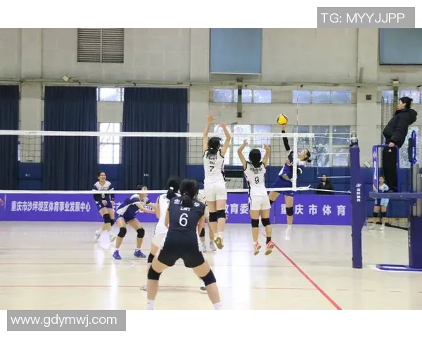 聚焦排球:重庆排球队的意识话题